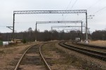 станция Борисова Грива: Вид в сторону ст. Ладожское Озеро
