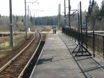 Вид с новой платформы в сторону Невской Дубровки