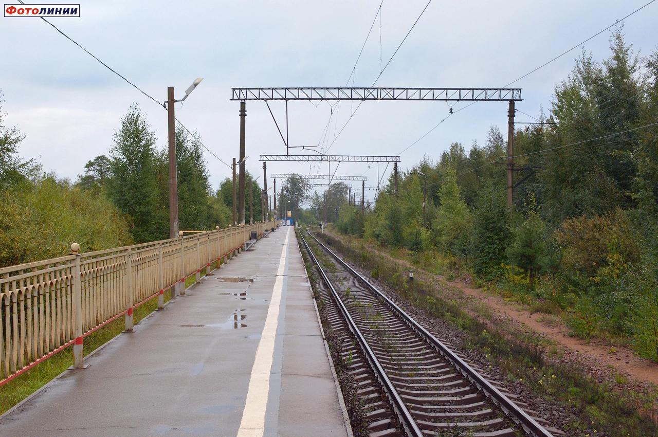 Вид с платформы в сторону Невской Дубровки