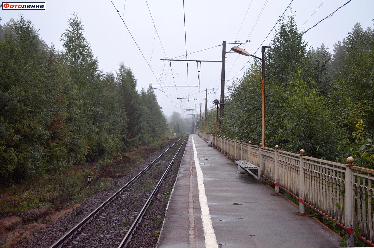 Вид с платформы в сторону Невской Дубровки