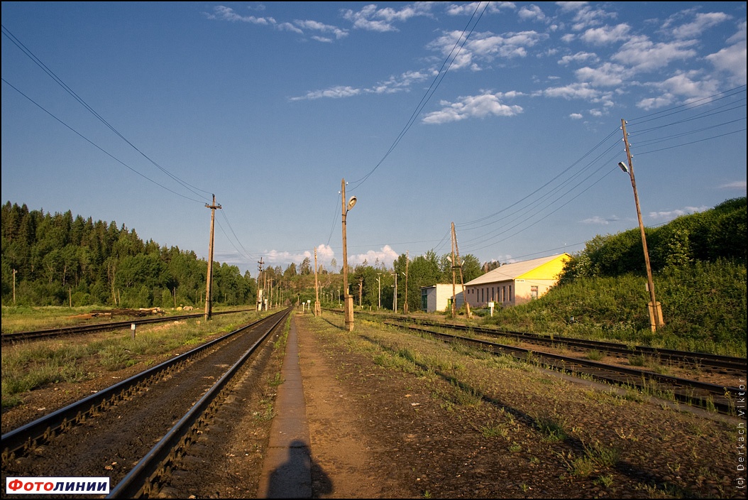 Вид на платформы и станционное здание