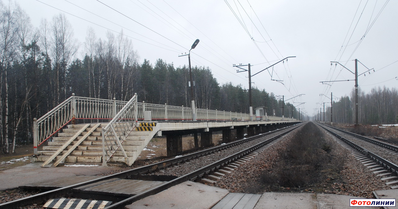 Вид платформы приозерского направления в сторону Санкт-Петербурга