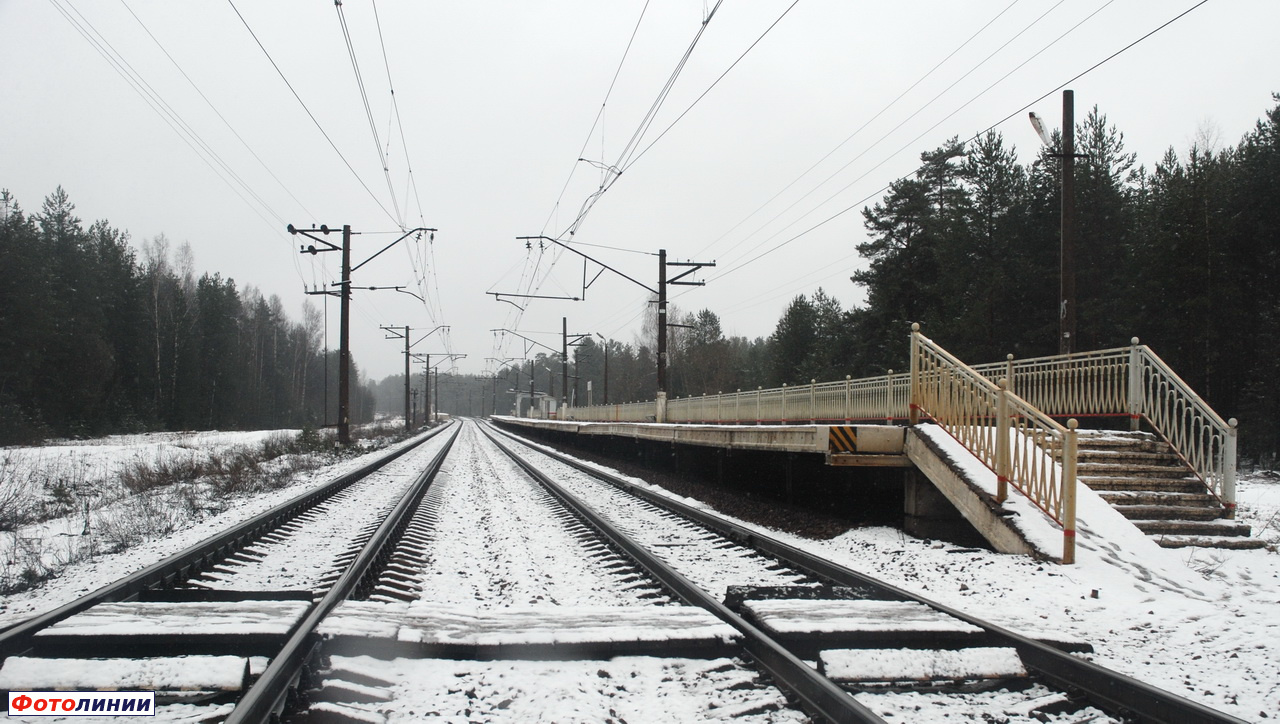 Вид платформы петербургского направления в сторону Санкт-Петербурга