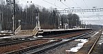 станция Грузино: Вид платформы в сторону Санкт-Петербурга
