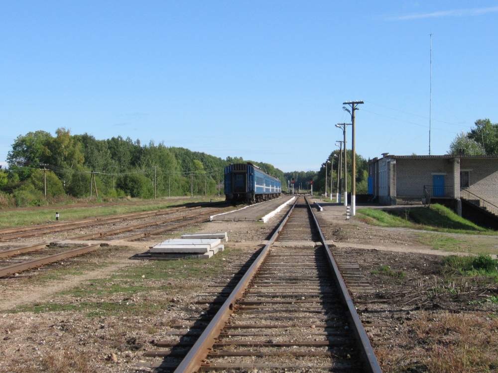 Общий вид станции в сторону Воропаево