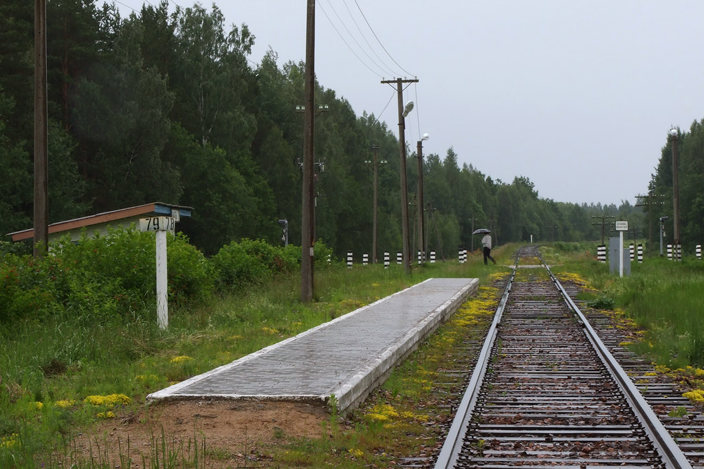 Вид в сторону Воропаево