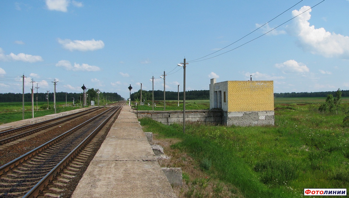 Вид с платформы в сторону Ельска
