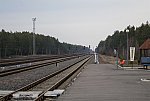 станция Михалки: Вид в сторону Калинковичей с платформы