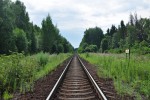 о.п. 213 км: Вид в сторону Савелово
