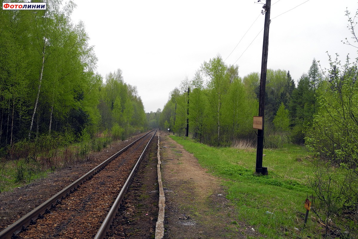 Вид с платформы в сторону Савёлово