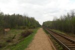 о.п. Стрельчиха: Вид с платформы в сторону Калязина