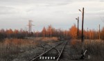 станция Васильевский Мох: Разобранный путь на торфоперегруз