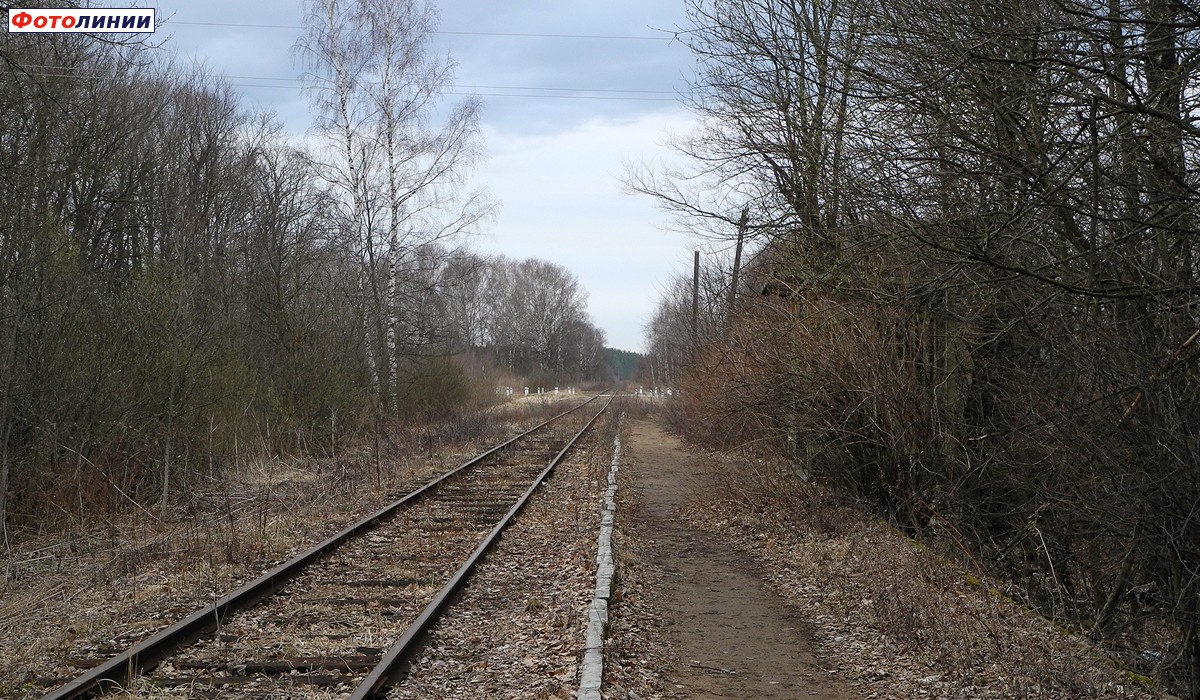 Вид с платформы в сторону Дорошихи
