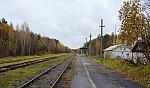станция Доронинская: Вид с платформы в сторону Дорошихи