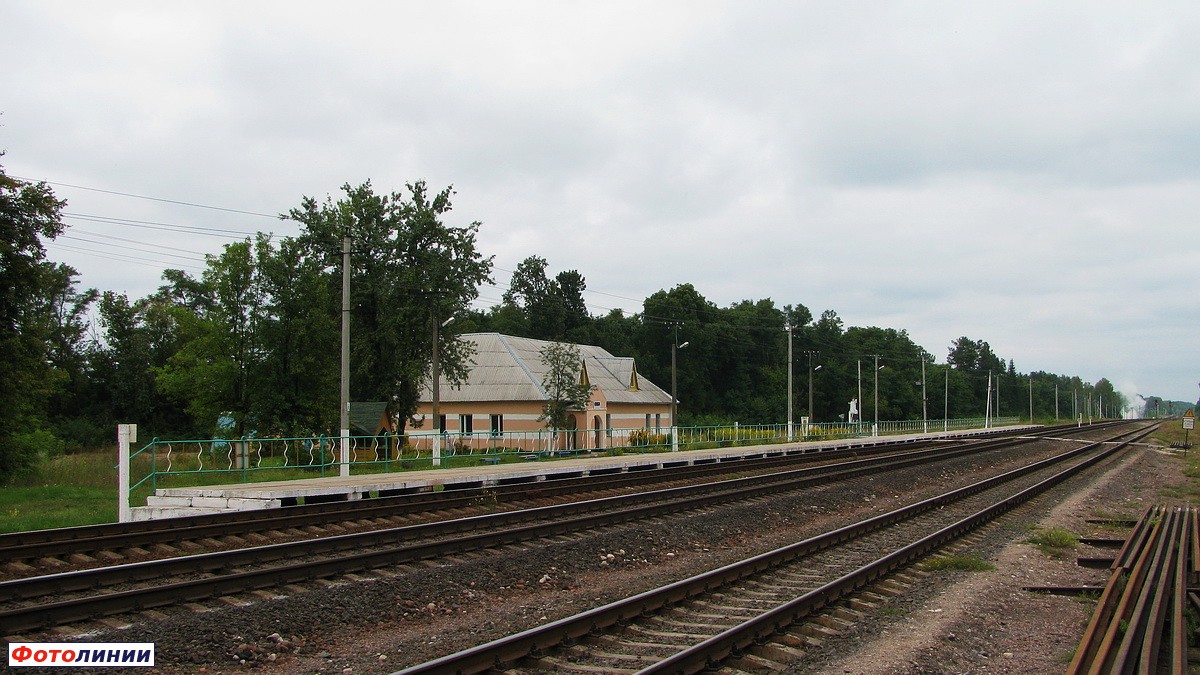 Вид станции в сторону Жлобина