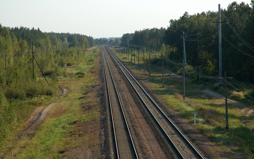 Вид станции в сторону Калинковичей