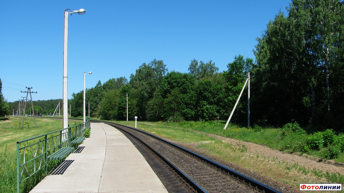 Вид с платформы в сторону Дубровичей