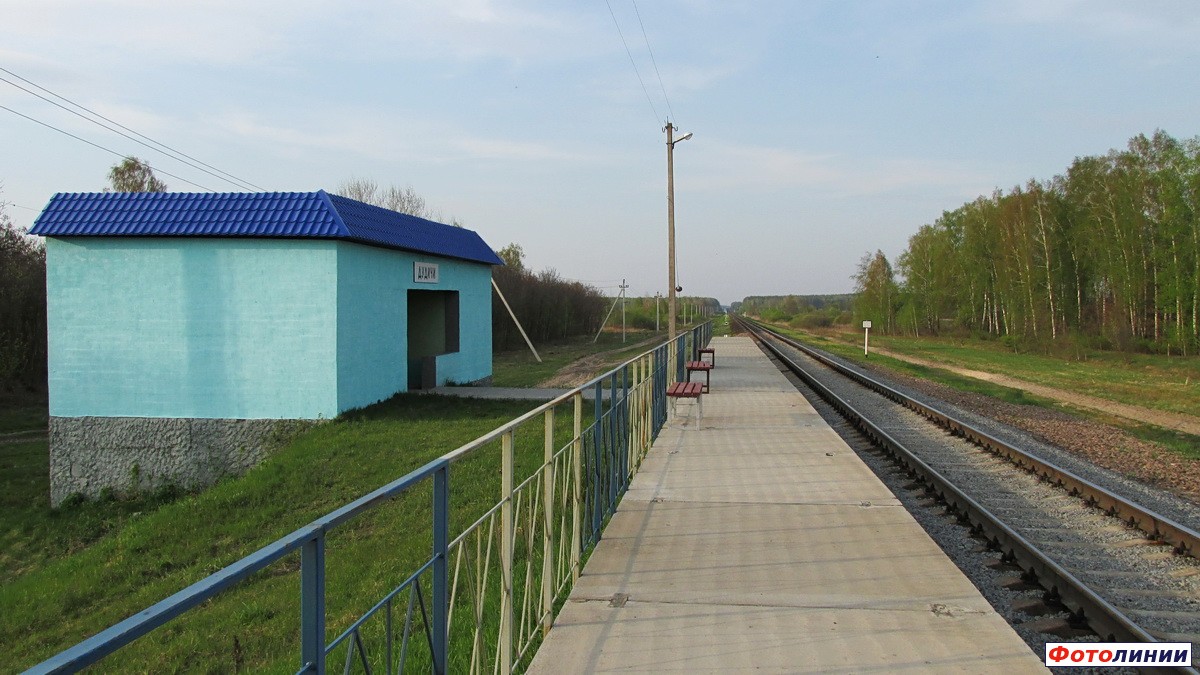 Вид с платформы в сторону Жлобина