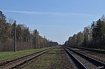 Вид в сторону станции Жлобин-Подольского