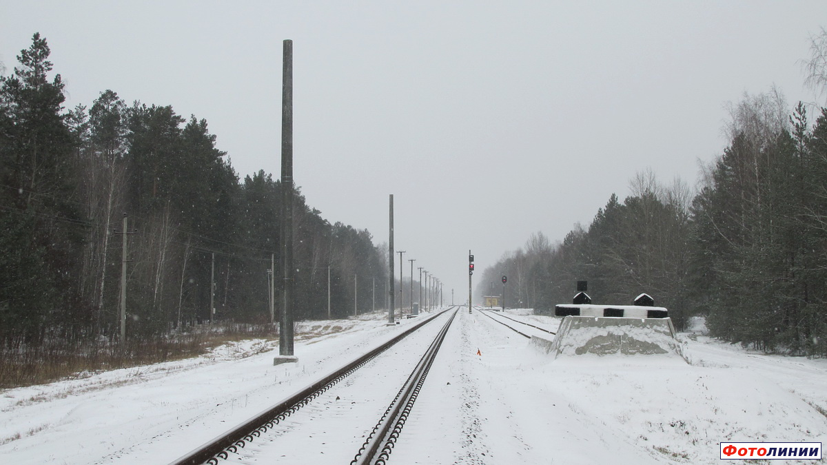 Вид на станцию со стороны Калинковичей