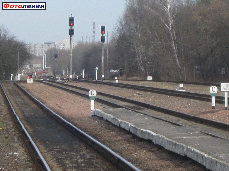 Чётная горловина и выходные нечётные светофоры, вид в сторону Брест-Полесского