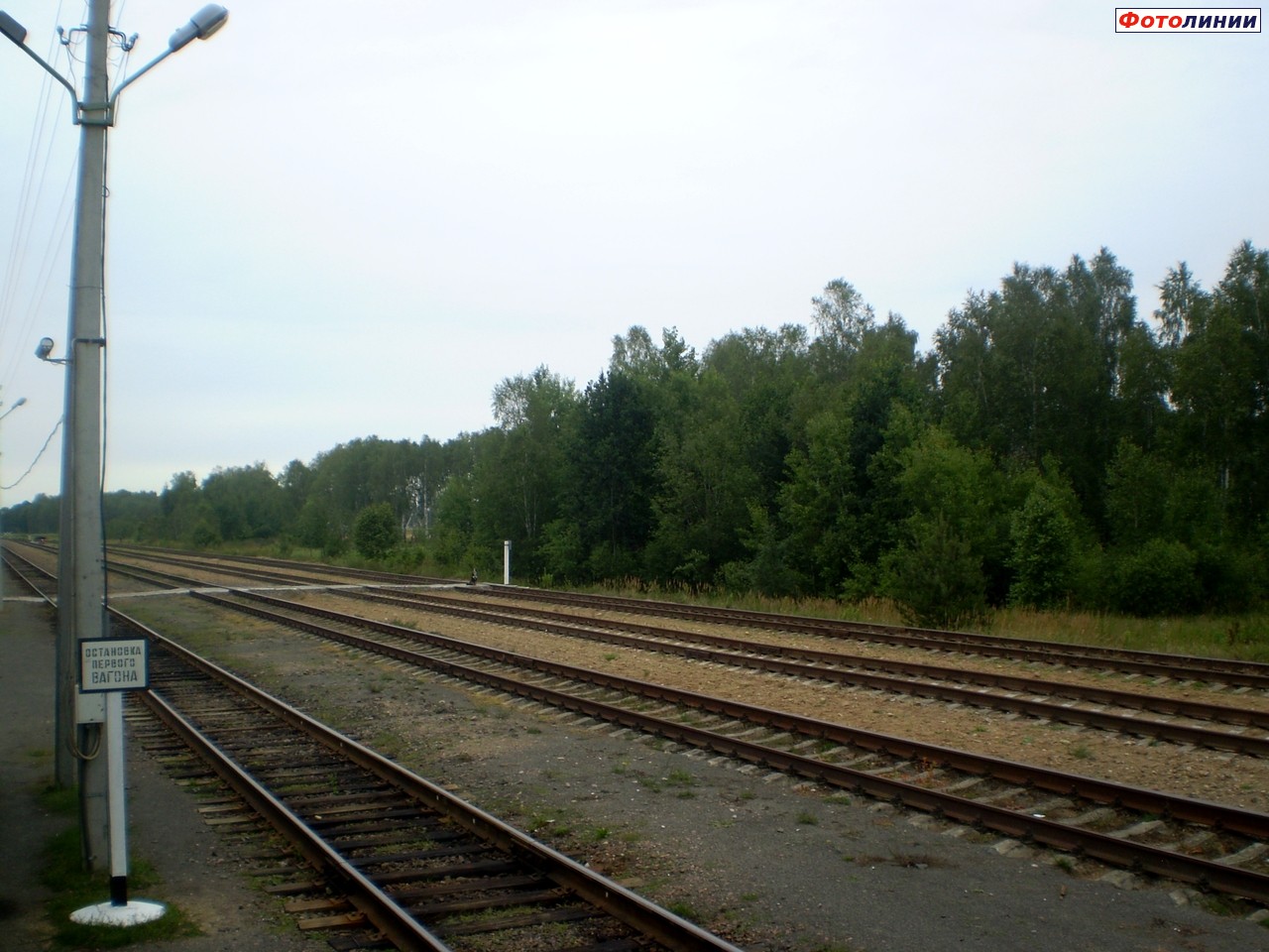 Пути станции (вид в сторону Бреста)