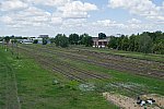 станция Янов-Полесский: Пути бывшей базы запаса