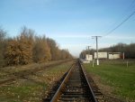 станция Борисовка: Пути и платформы