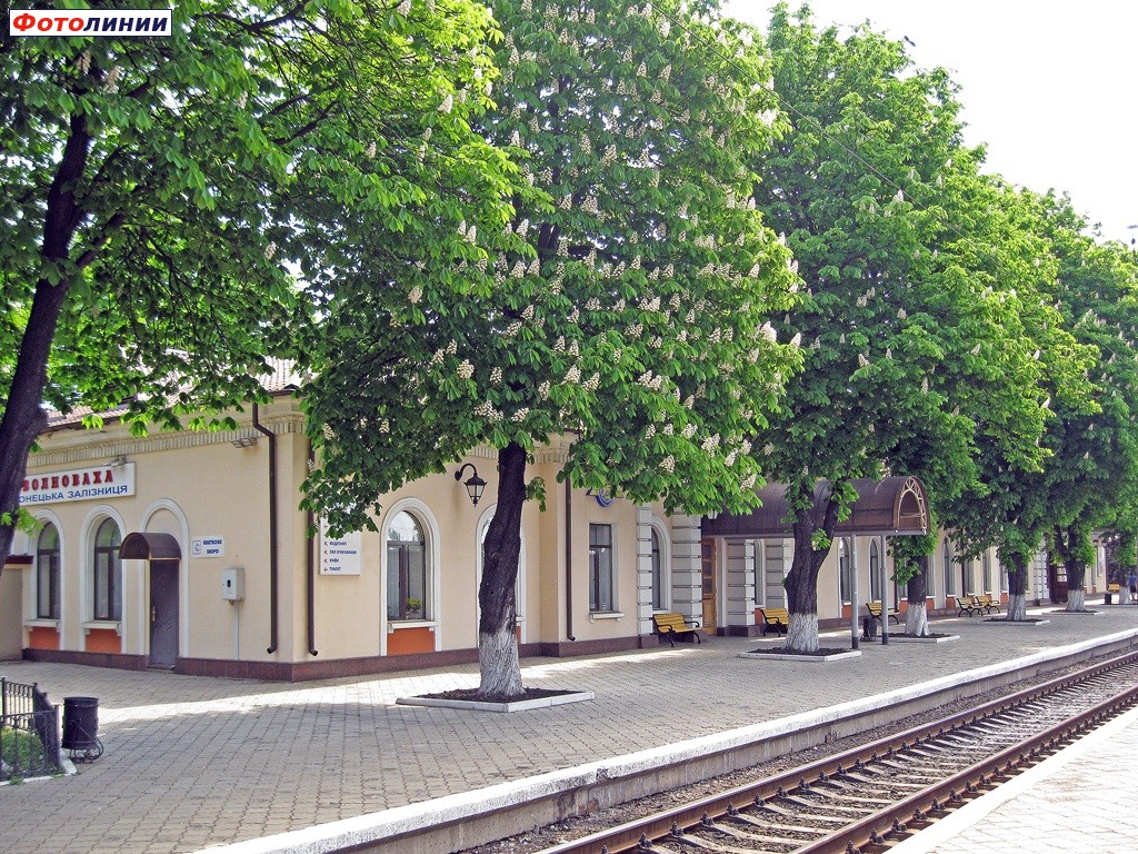 Фото волновахи сегодня