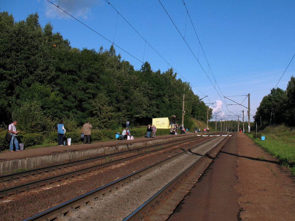 Вид с платформы борисовского направления