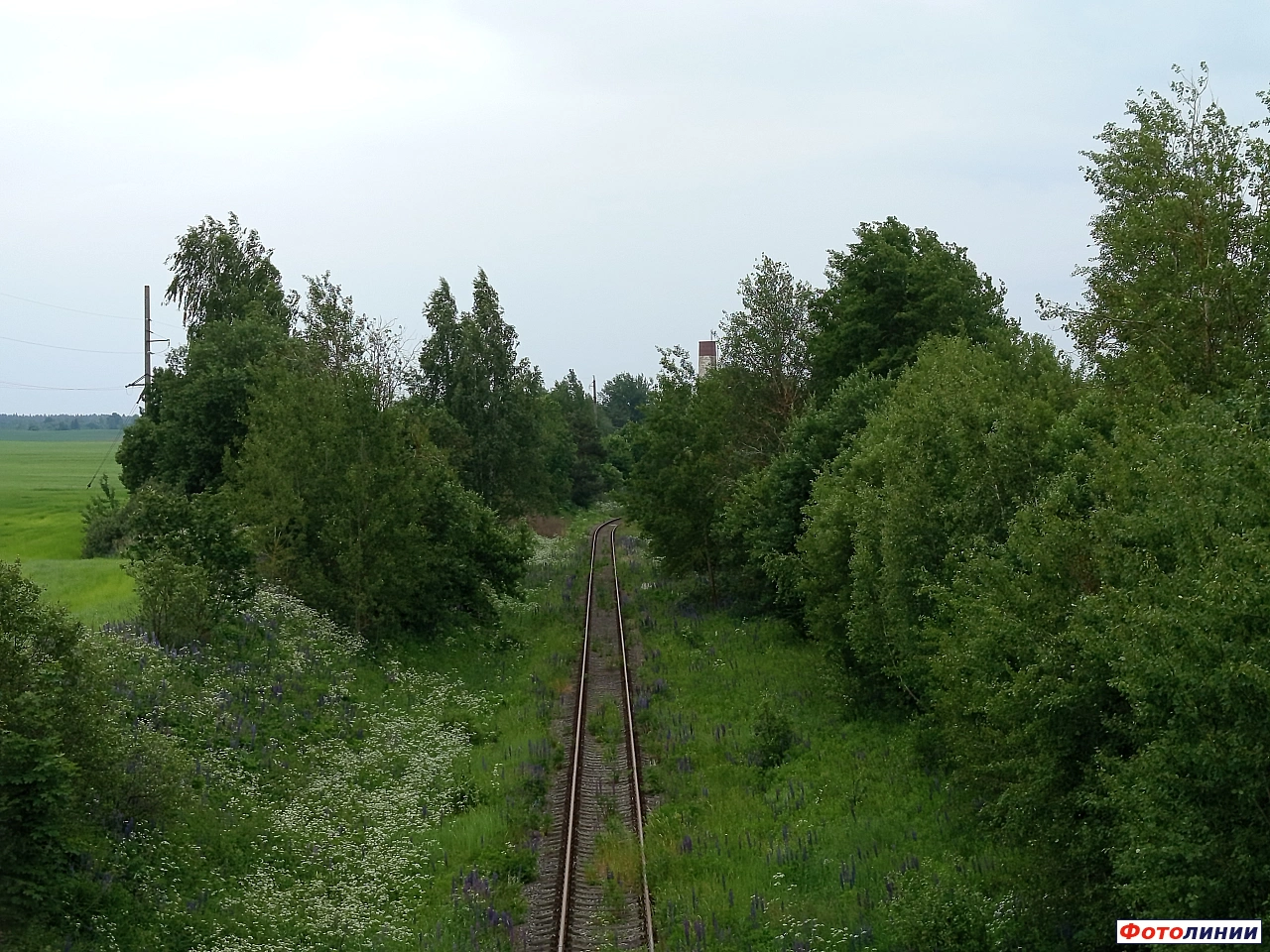 Вид с моста на подъездной путь