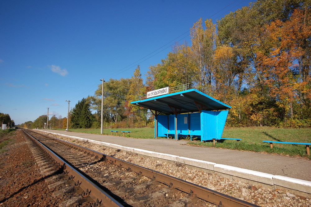 Пассажирский павильон и платформа