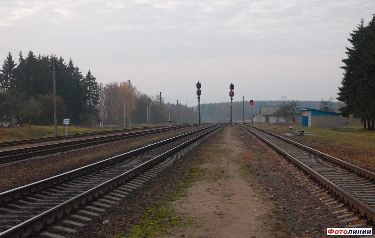 Горловина станции в сторону Могилева