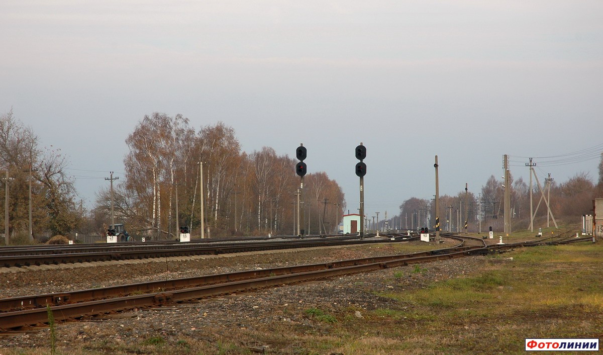 Вид станции в сторону Орши