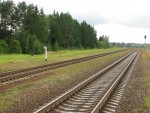 о.п. Полыковские Хутора: Территория бывшей станции (вид в сторону Орши)