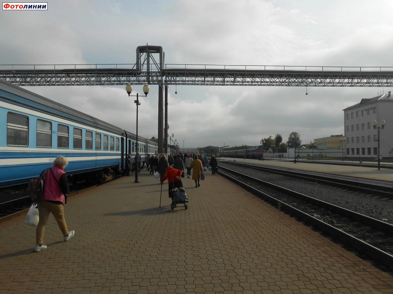 Вид в сторону Кричева, Жлобина и Осиповичей с сектора C 1-й платформы