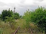 станция Белогоровка: Граница станции. Вид в сторону станции Новозолотарёвка
