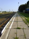 станция Дзержинская-Новая: Платформа