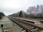 станция Ларищево: Платформы и пути, Гомельское направление