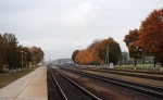 станция Добруш: Пути и платформы
