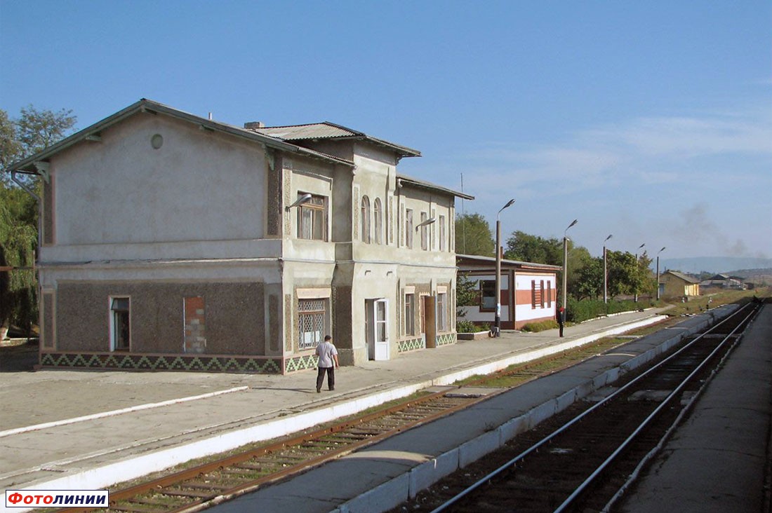 Станционное здание и платформы