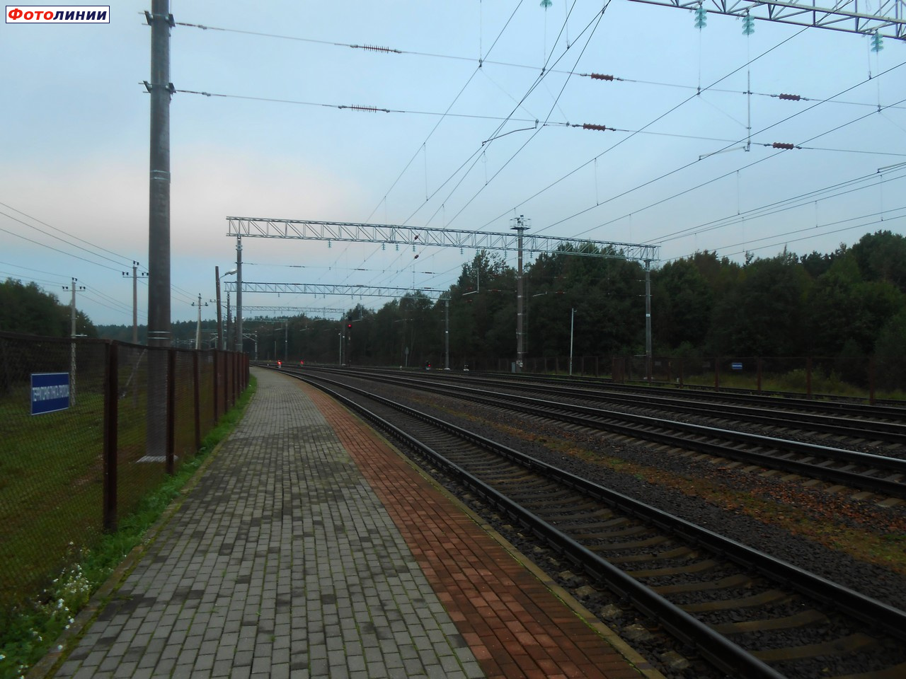 Вид с 1-ой платформы в сторону Кяны