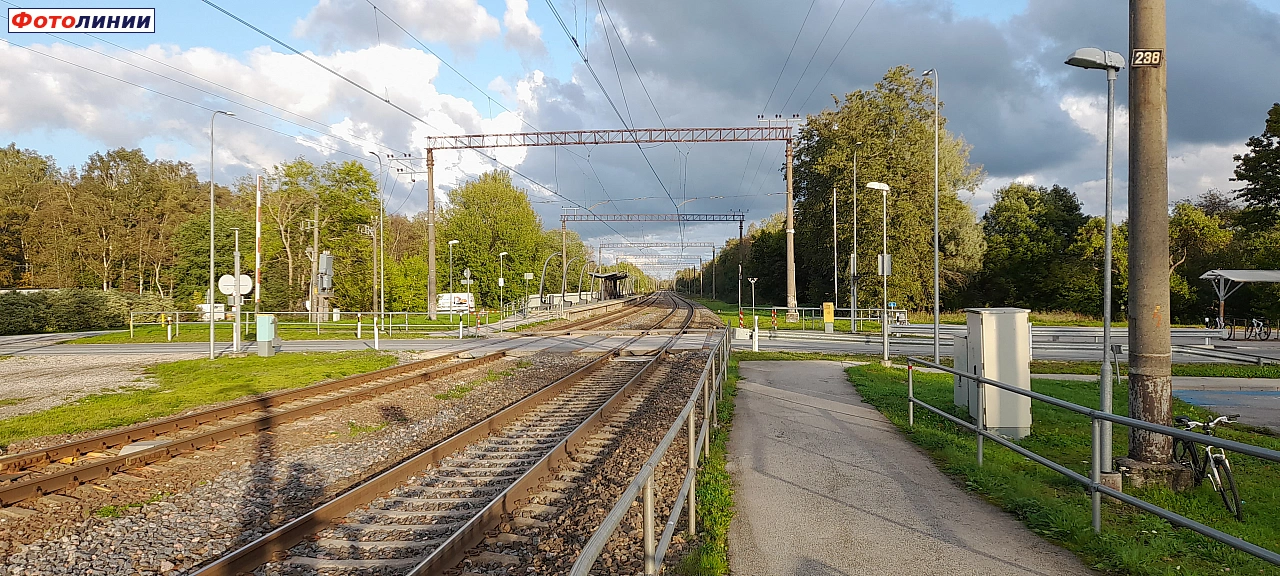 Вид в сторону Тапа