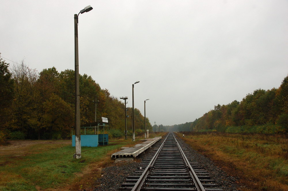 Вид платформы в сторону Хойник