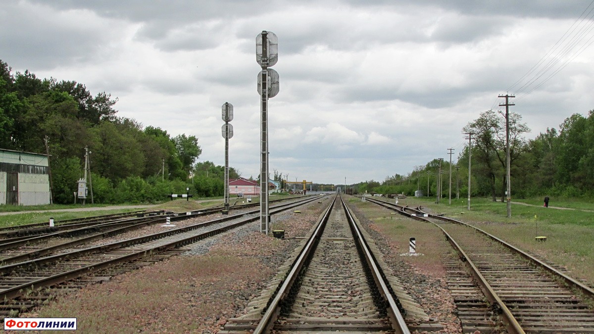 Вид станции в сторону Костюковки