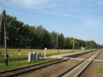 станция Полонка: Пути и платформа