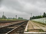 станция Боровцы: Платформа