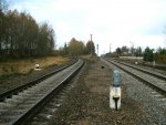 станция Боровцы: Ответвление на Волковыск. Вид из нечётной горловины