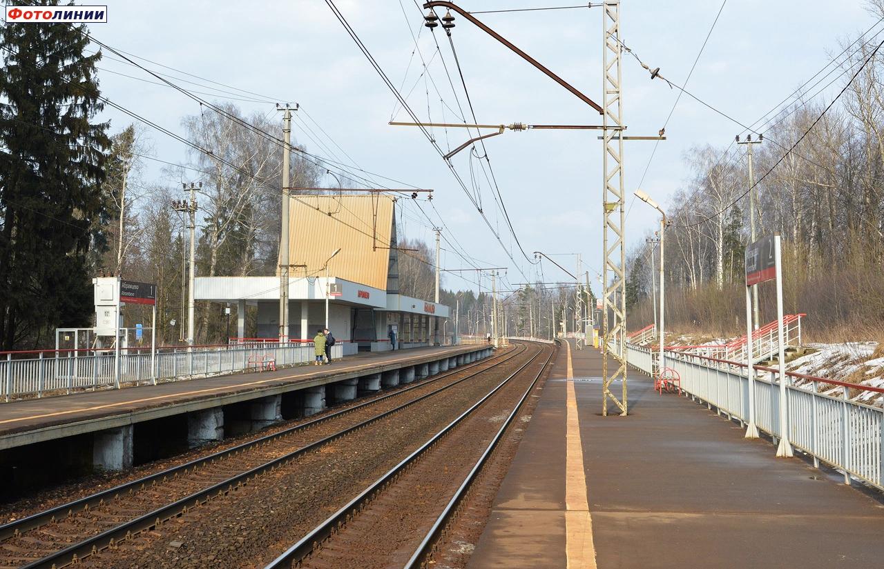 Вид в сторону Александрова с платформы № 2