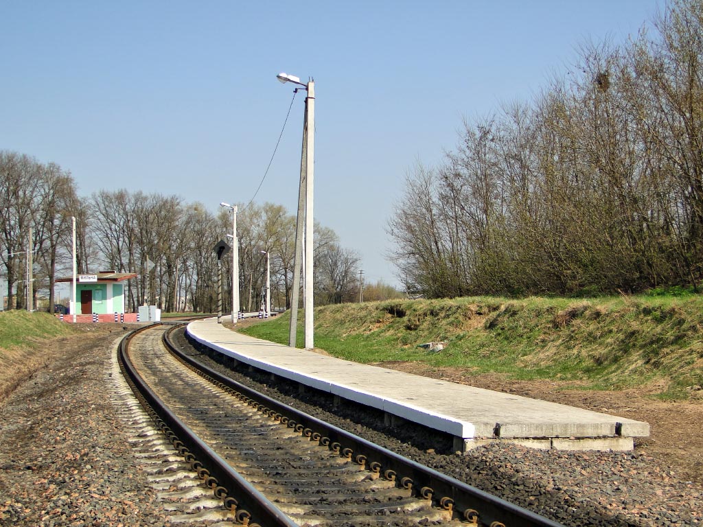 Пассажирская платформа. Гомельское направление, вид в сторону Гомель-Северный